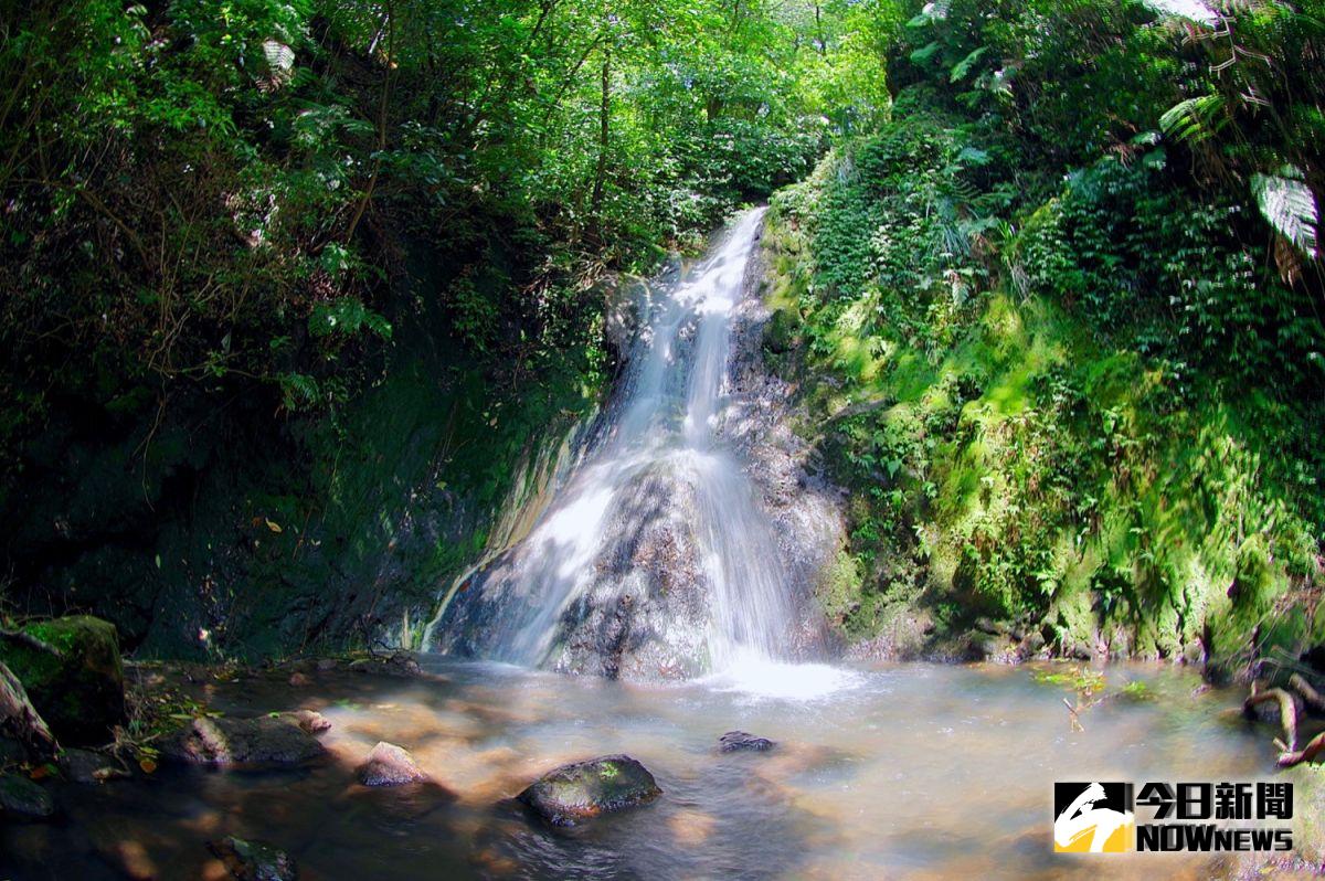 ▲離陽明山公園花鐘不遠處藏著一個「清涼系」瀑布秘境，除了是 instagram 上的熱門打卡熱點外，也是不少新人拍攝婚紗的秘密景點。（圖／記者陳致宇攝）