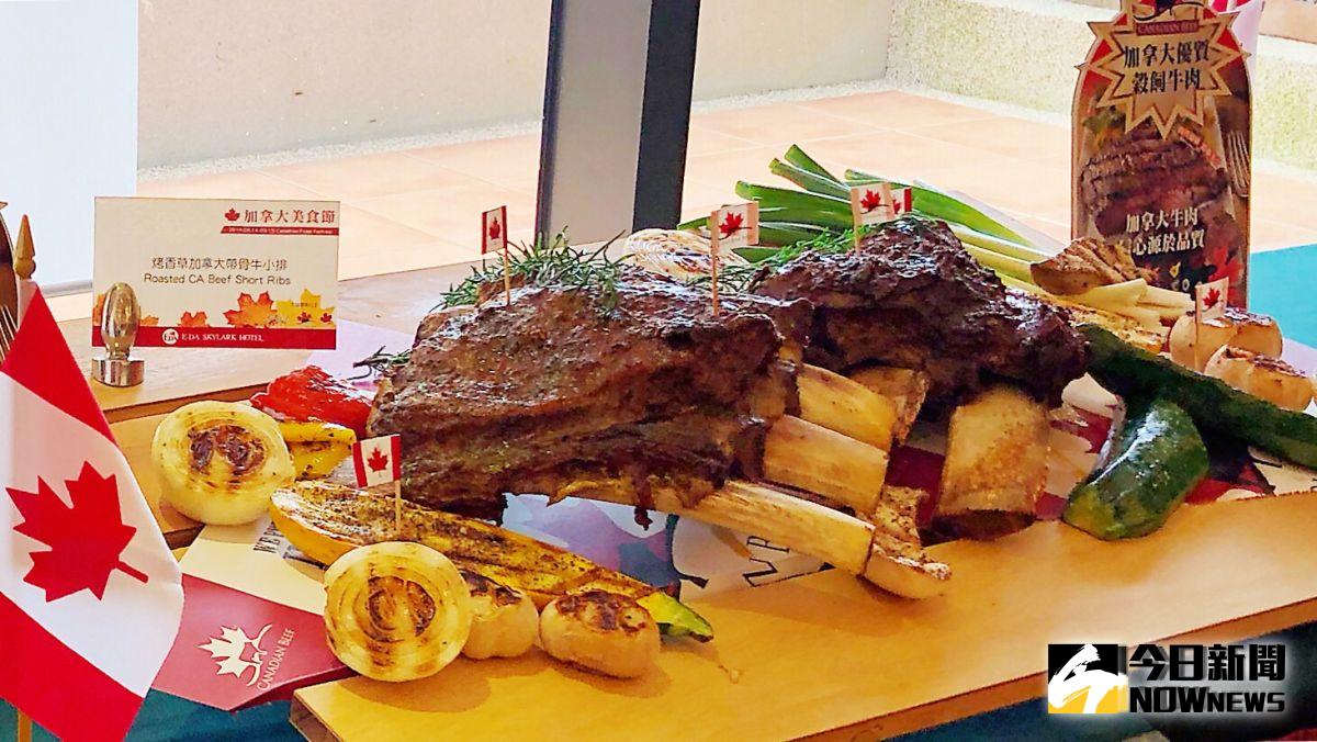 ▲加拿大美食節端出牛肉、楓糖、鮭魚等特色食材。（圖／記者陳美嘉攝）