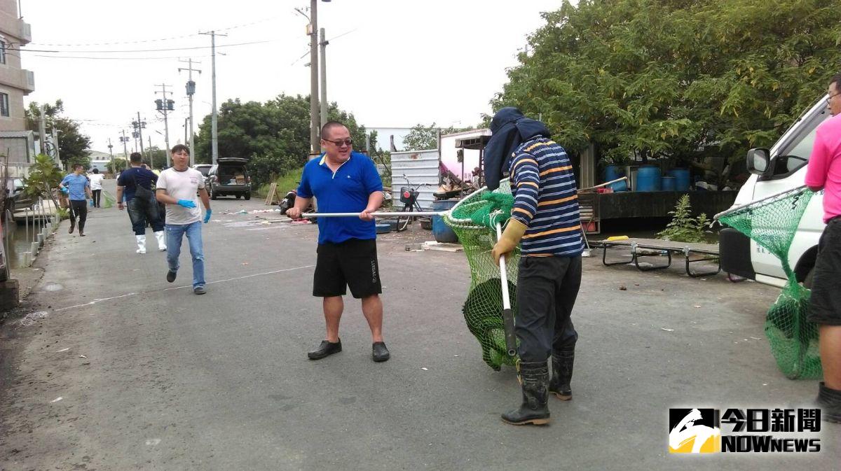 ▲現場盤據的流浪狗群見到苗頭不對紛紛四處竄逃，採圍捕方式進行捕捉。（圖／記者陳雅芳翻攝，2019.08.16）