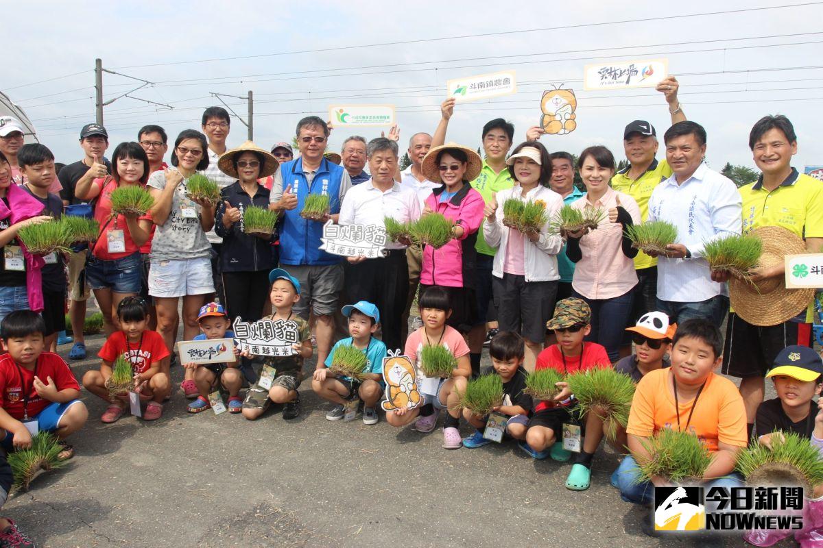▲雲縣長張麗善陪同家長親子種下秧苗體驗農家樂。（圖／記者簡勇鵬攝，2019.08.17）