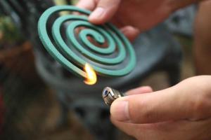 蚊香 ▲蚊香之所以會是「螺旋狀」,背後原因很有趣。(示意圖/達志影像/美聯社)