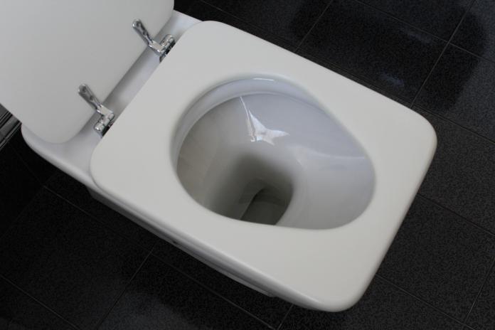 ▲一名女網友在 PTT 表示，家中長輩習慣用水瓢裝水沖馬桶，此舉卻讓廁所產生異味，貼文意外引發許多網友共鳴。（示意圖／翻攝自 Pixabay ）