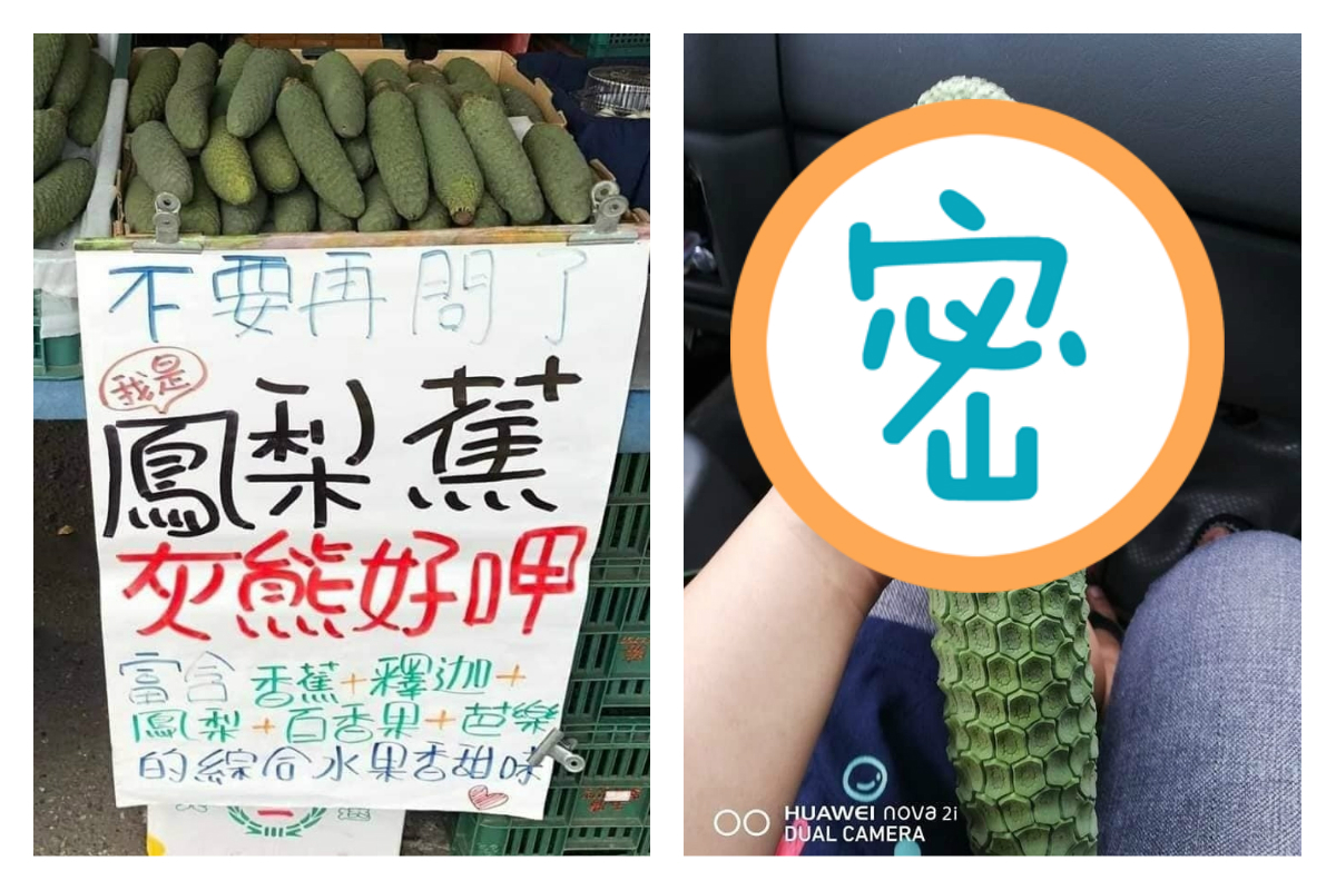 ▲網友分享鳳梨蕉的照片，直言自己「第一次看到這種水果」，特殊的外型引發討論。（圖／翻攝自爆廢公社公開版二版臉書）