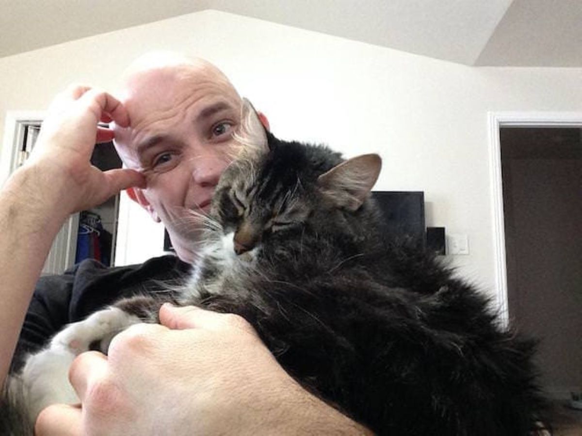 前女友向男子提出想要復合就必須放棄他的貓咪，讓男子很困擾！（圖／Imgur@voiceafx）