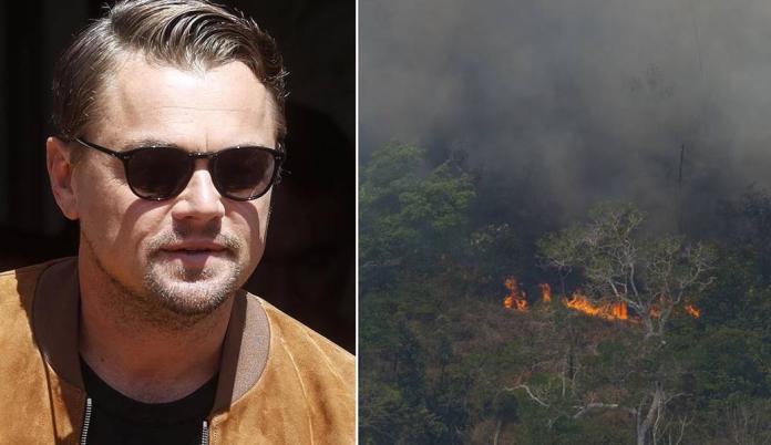 李奧納多怒問：亞馬遜雨林燒16天　為何沒有媒體報導！
