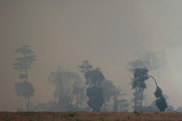 ▲巴西亞馬遜森林大火已連燒三週。（圖／美聯社／達志影像）