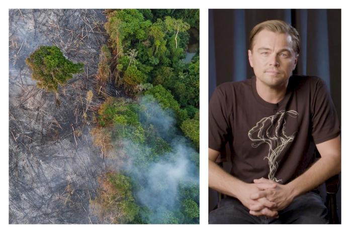 亞馬遜火災持續燒！李奧納多看不下去　怒掏1.6億助雨林

