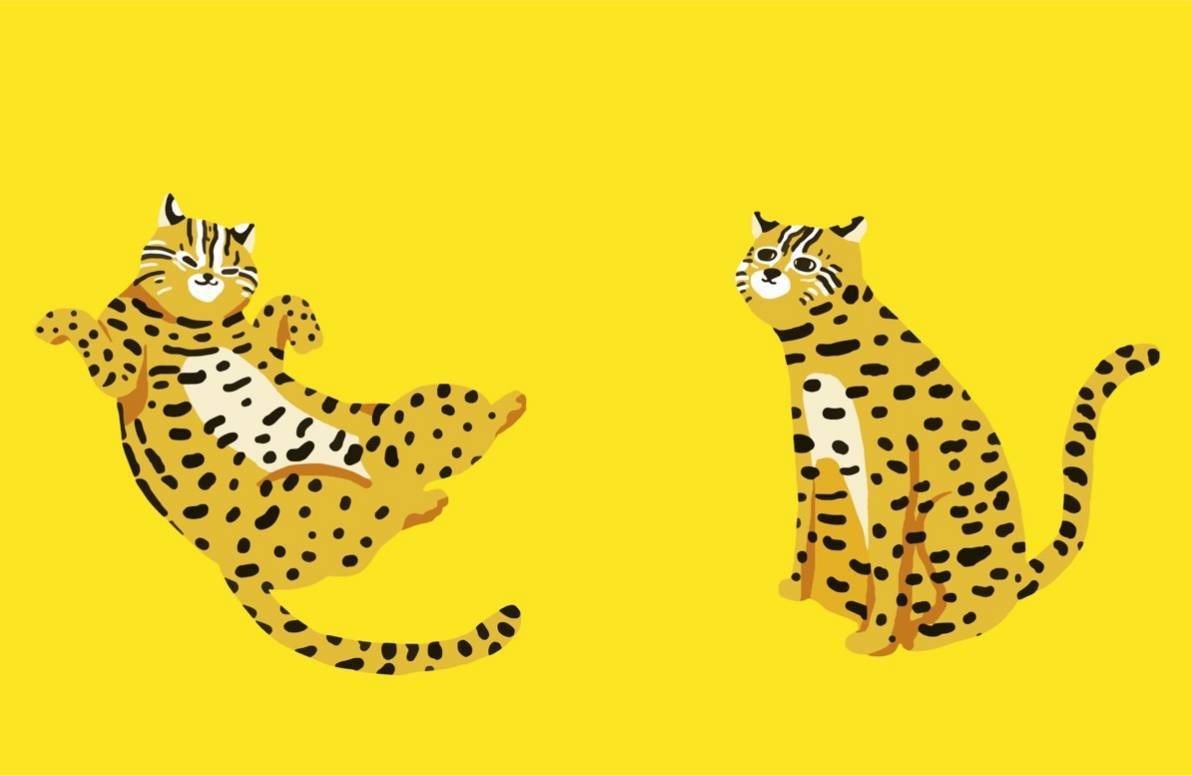 ▲觀光局今（26）日表示，針對石虎爭議，已經由設計團隊重新繪製。（圖／觀光局提供）