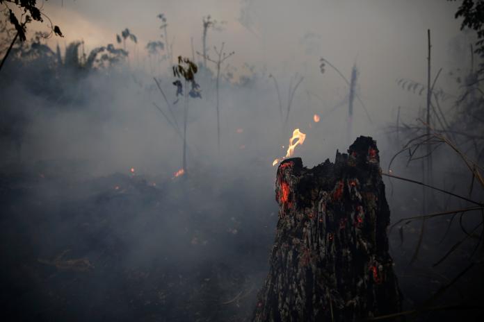 ▲亞馬遜雨林遭大火嚴重吞噬。（圖／美聯社／達志影像）