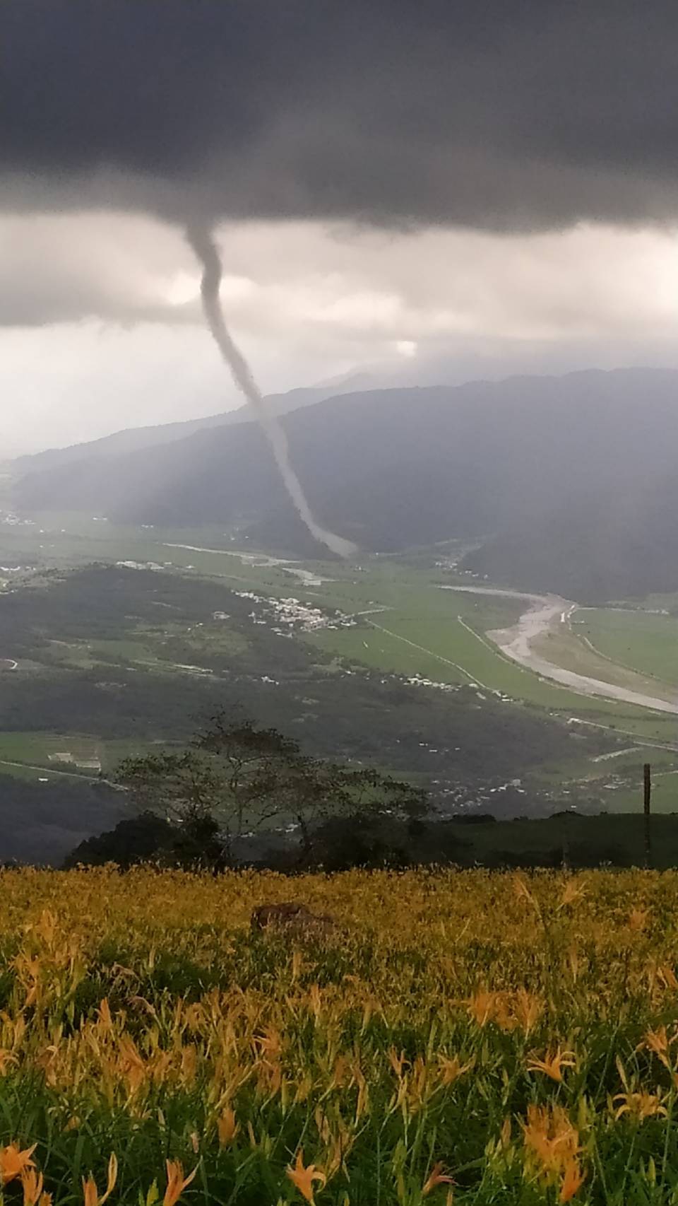 ▲花蓮縣富里鄉的六十石山，昨天下午出現龍捲風，被農民拍攝下來。（圖／農民提供）