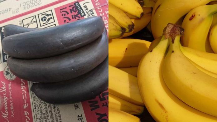 ▲黑色香蕉與原本香蕉對比圖。（圖／翻攝
推特 @lavi8179 ／pixabay ）