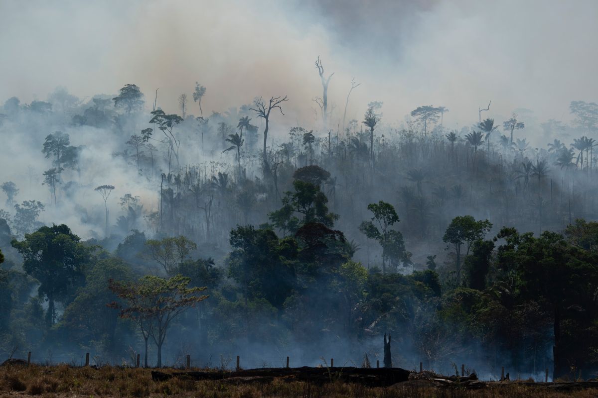 ▲巴西亞馬遜環境研究所（Ipam）2日發布調查指出，2018年8月至2021年7月期間亞馬遜森林地區的破壞速度驚人。資料照。（圖／美聯社／達志影像）