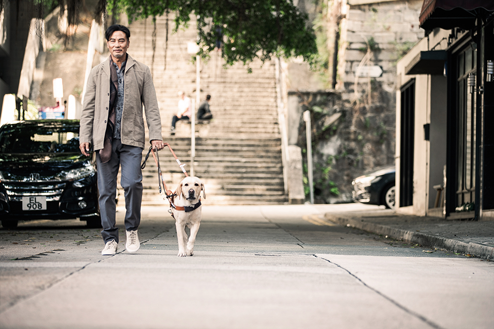 ▲《再見了！小Q》劇照（圖／海樂）