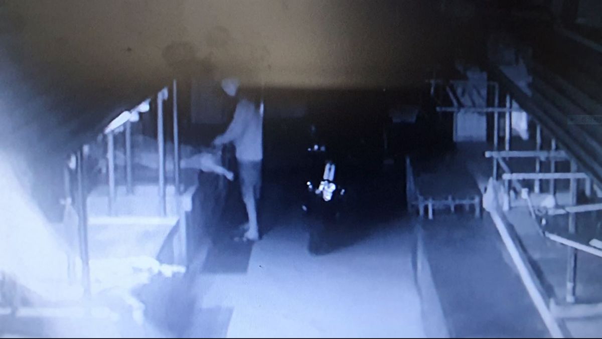 ▲監視器清楚拍下偷豬賊的身影，逮捕後發現竊賊是一名慣犯。（圖／記者鄭志宏翻攝）