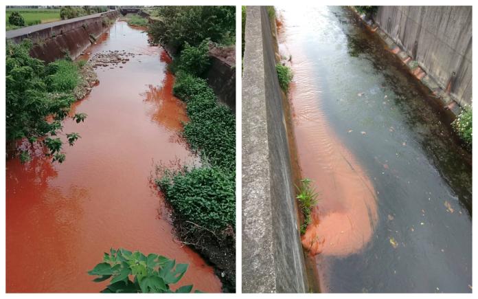 苗栗苑裡新復溪「血流成河」　竟是零件工廠偷排廢水

