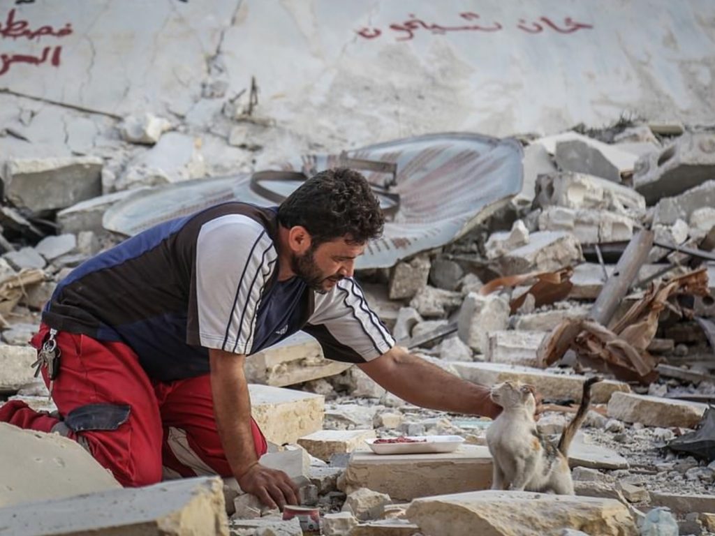 從小就愛貓的阿爾賈力，實在是無法放下這些貓咪不管。 (圖/PA) 