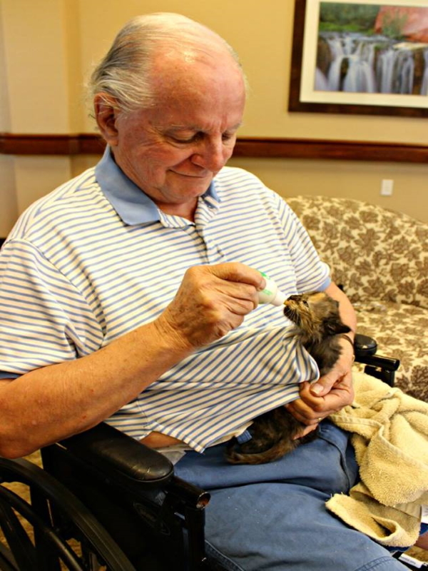 失智老人幫助餵養小貓　不僅雙方得到安慰還能活絡記憶！