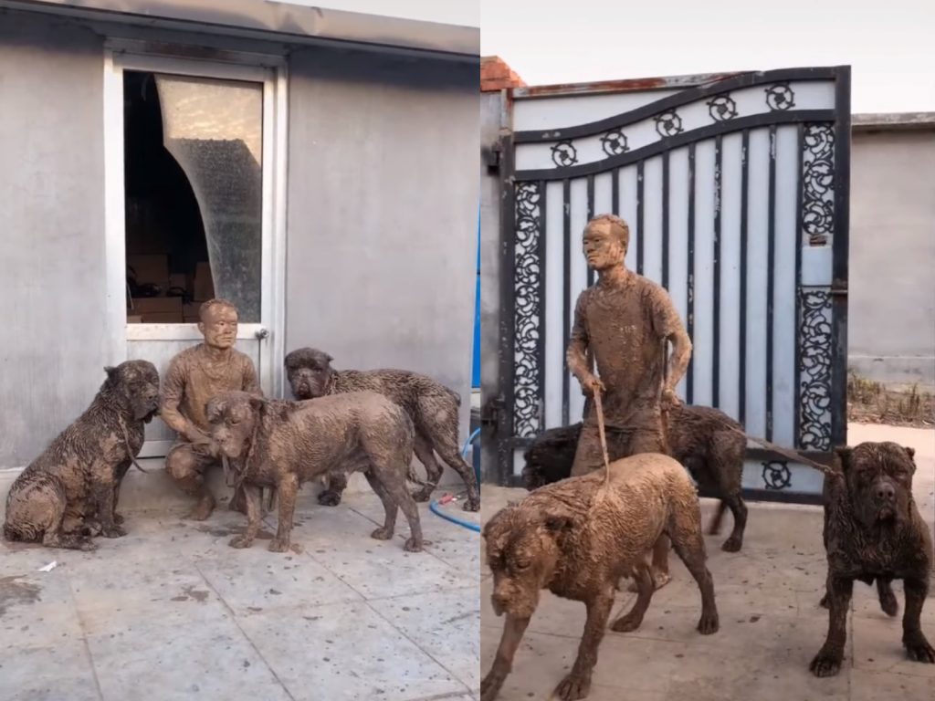 狗主人在抖音表示：我只是想溜個狗。 (圖/Facebook@寵物世界) 