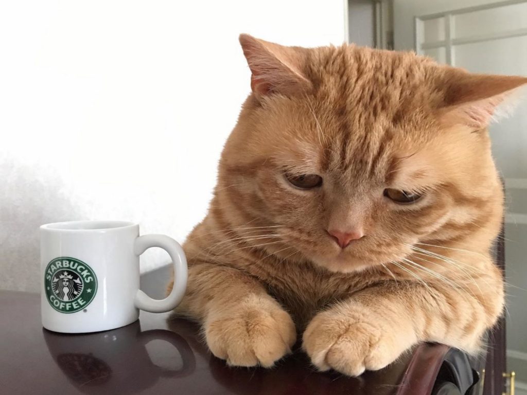 艾倫：一杯星巴克也無法提振我的精神與心情！（圖／IG@kiko11232015）