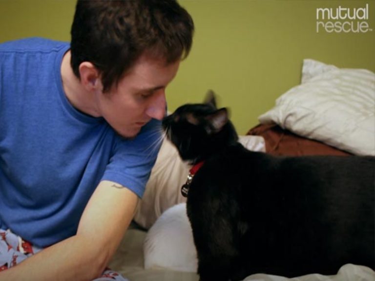 一隻黑白貓拯救了一個男子的一生（圖／翻攝自Youtube@Brad Boulder）