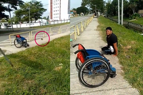 輪椅男子冒生命危險　克服肢體障礙爬到水溝邊救小貓！