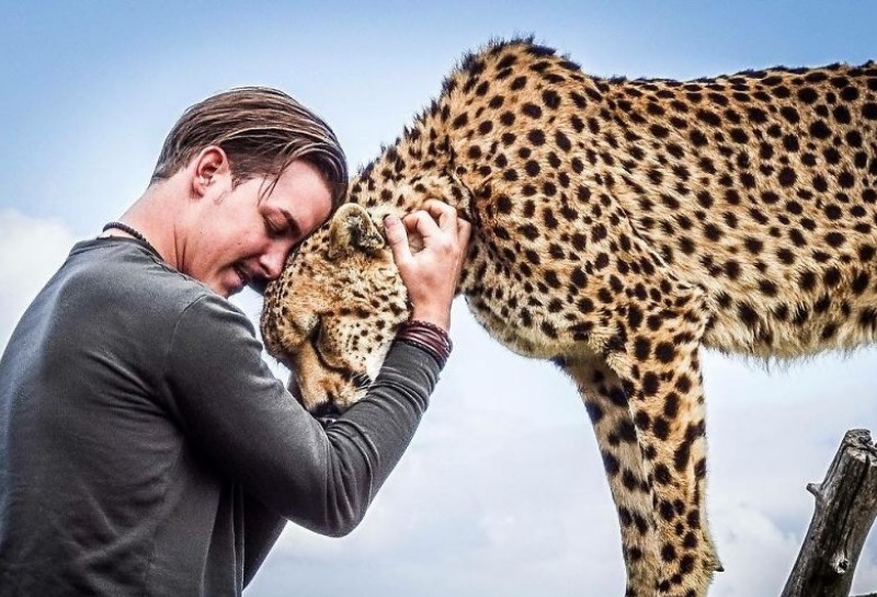 大貓都融化的愛！瑞士男放棄一切用盡積蓄救助非洲野生動物
