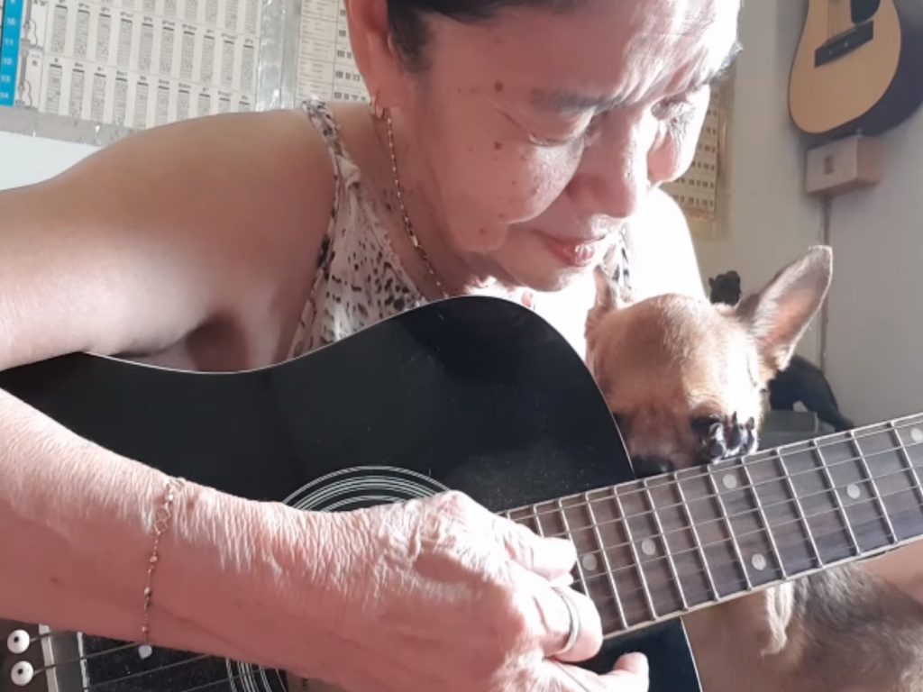 吉娃娃將頭與手饋在吉他上聽主人唱歌，陶醉到開始打盹！（圖／翻攝自Youtube@Malinda Herman Official）