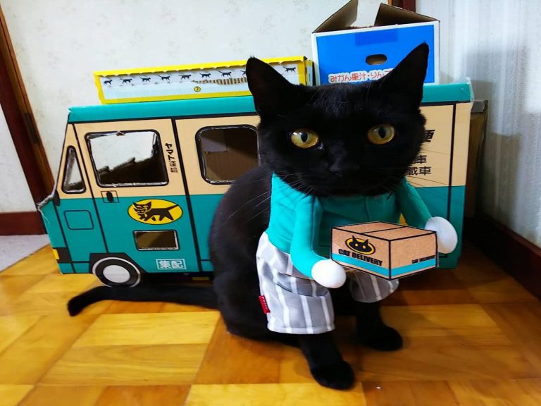 貓星人穿制服送包裹　能天天訂宅配請牠送貨嗎？
