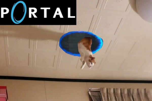 貓咪從天花板跳下來　莫非那裏是異次元空間？