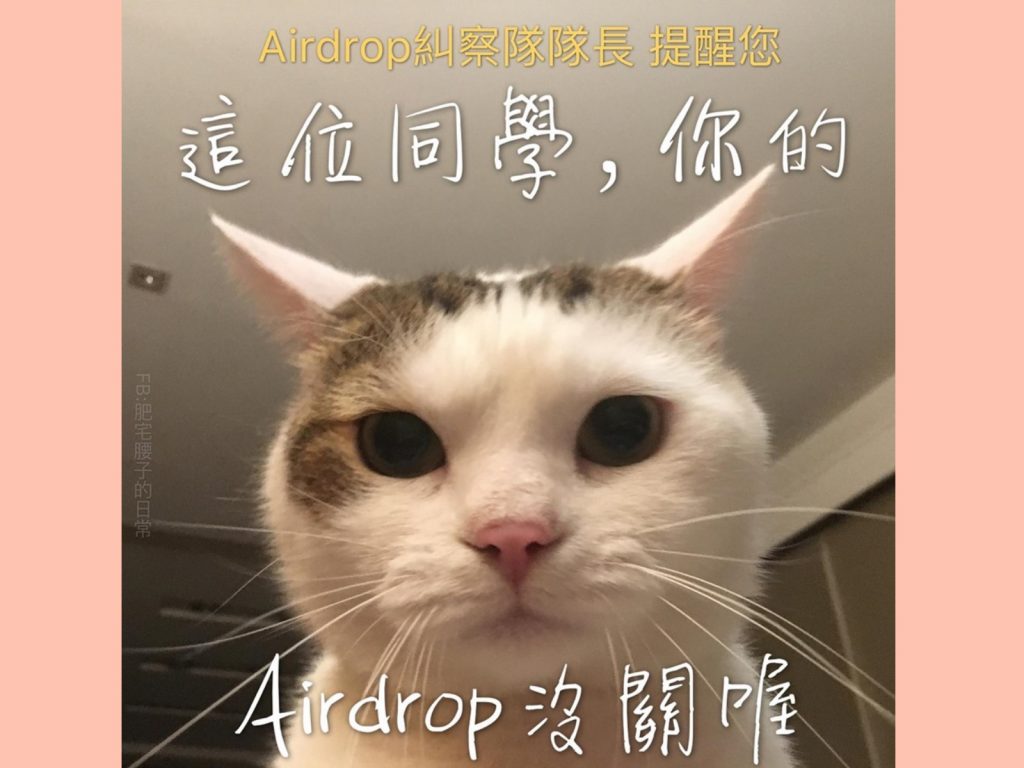 腰子瞪著圓滾滾的可愛大眼，提醒你忘了關AirDrop囉～(圖/Facebook@肥宅腰子的日常) 
