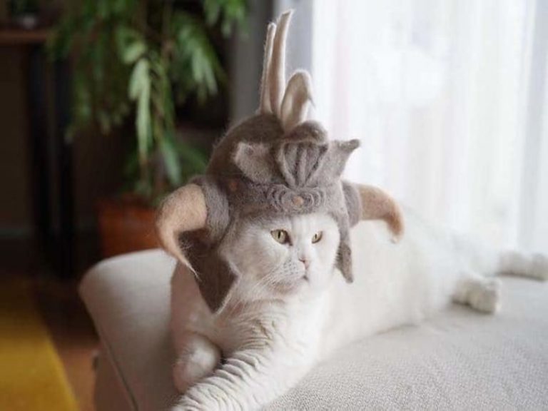 日本超有才飼主將貓毛製作成造型獨特的毛帽（圖／IG@rojiman）