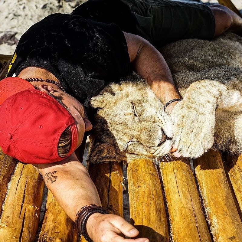 大貓都融化的愛！瑞士男放棄一切用盡積蓄救助非洲野生動物