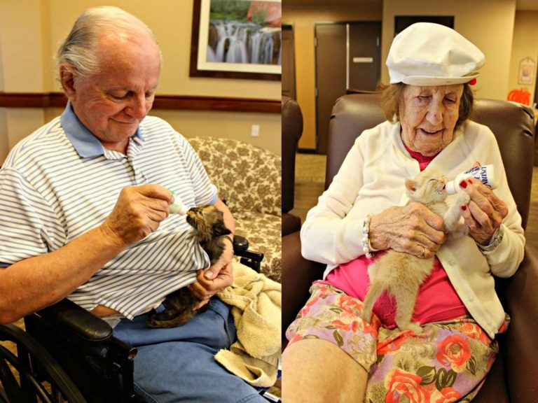 讓罹患記憶障礙的老人幫忙餵養小奶貓，不但能療癒彼此也能喚醒許多過往記憶！（圖／FB@Pima Animal Care Center）