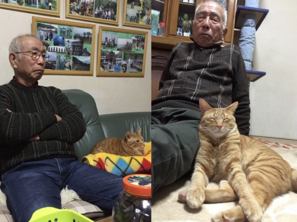 爺爺閉目養神時，橘貓靠著爺爺瞇眼度咕，角度神情都超級像的啦～ (圖/Twitter@yunkyillust) 