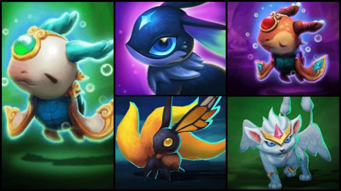 ▲ （圖／新頭殼）