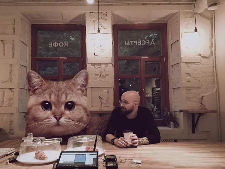 搞「大」了！藝術家將貓咪變大　意外勾出都市人內心孤寂
