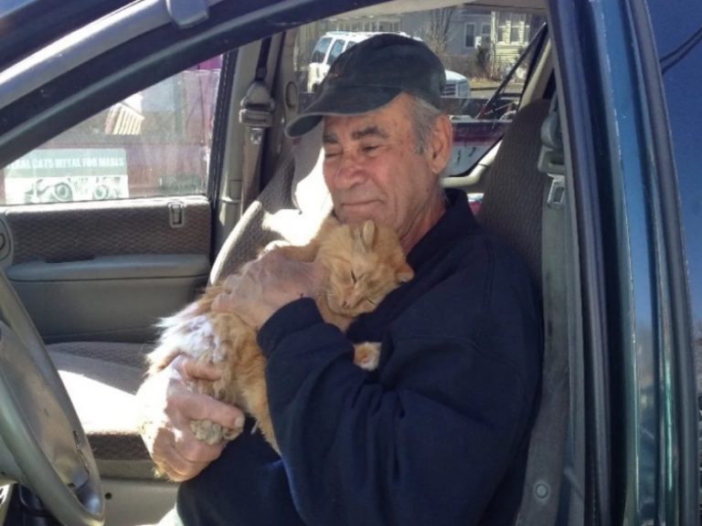 威力在20多年救了這隻美麗的橘貓，牠經常跳進牠的貨車跟他撒嬌討抱抱，這是每天威力最開心的時光！（圖／LoveMeow）