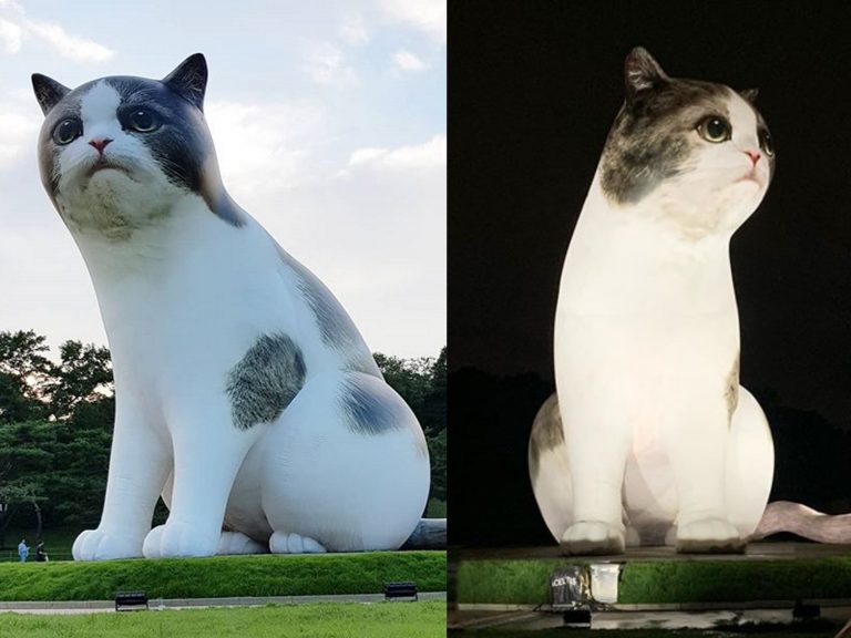 貓星人降臨！韓國公園驚見10公尺巨獸　不分晝夜攻陷地球人的心
