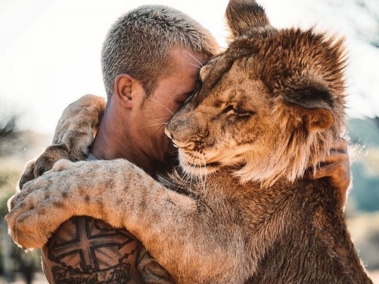 大貓都融化的愛！瑞士型男放棄一切用盡積蓄救助非洲野生動物
