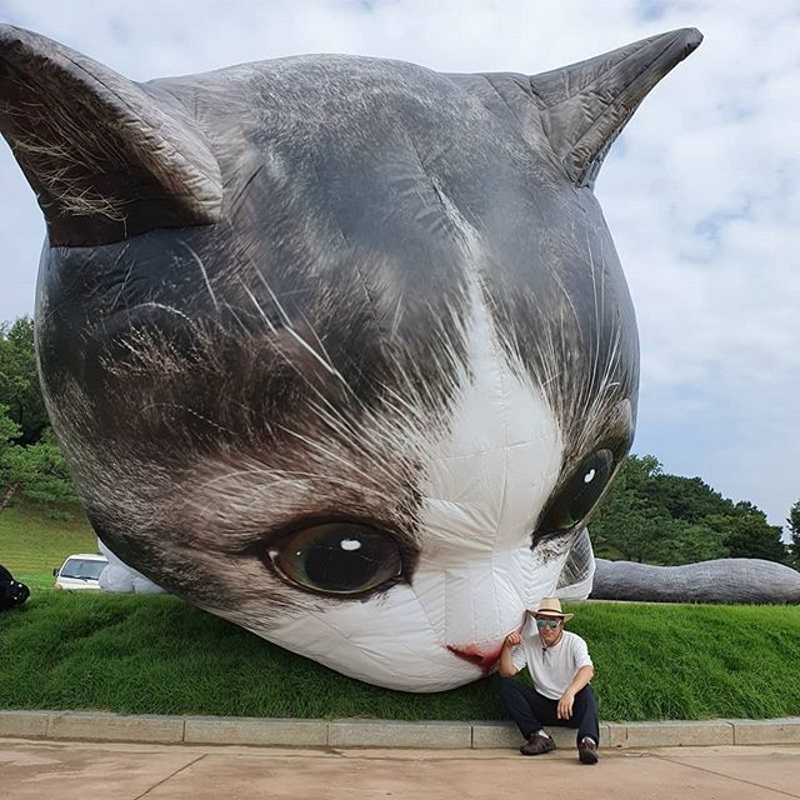 貓星人降臨！韓國公園驚見10公尺巨獸　不分晝夜攻略地球人的心