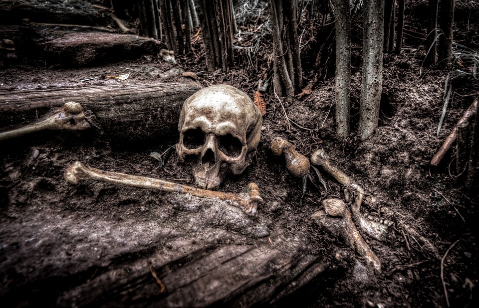 「土虱好吃，死人骨頭沒那麼多」俗諺的恐怖真相　。（圖／Pixabay）
