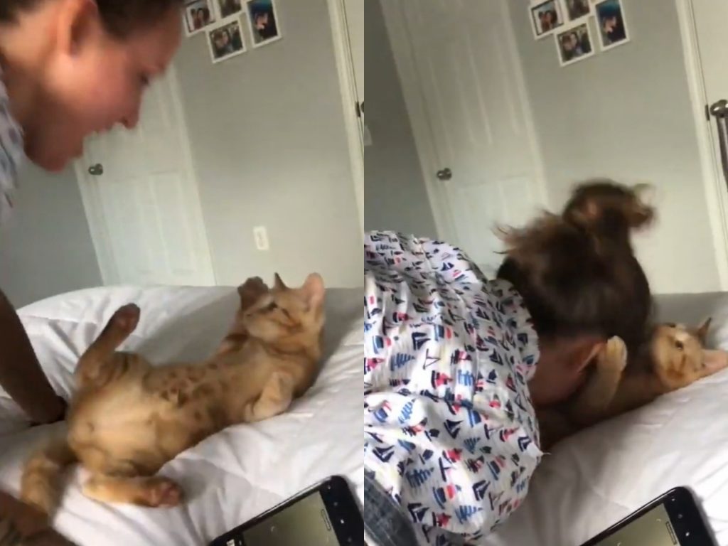 不只大口吸貓，還陶醉地搓揉肚肚，整個超享受～(圖/Twitter@_lizzyhamilton) 