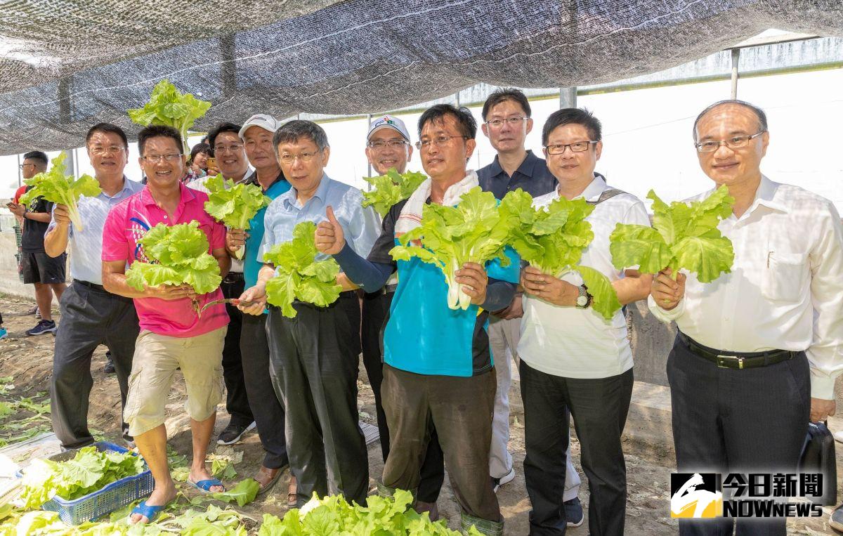 ▲柯文哲赴雲林產地參訪福田農產行有機蔬菜農場。（圖／記者蘇榮泉攝，2019.09.01）