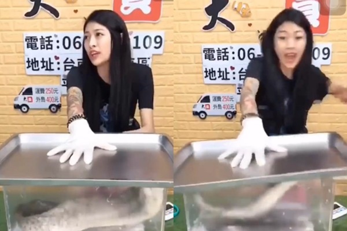 ▲直播主拿出海鰻魚給觀眾參考，下秒卻發生意外。（圖／翻攝莉妹妹臉書）