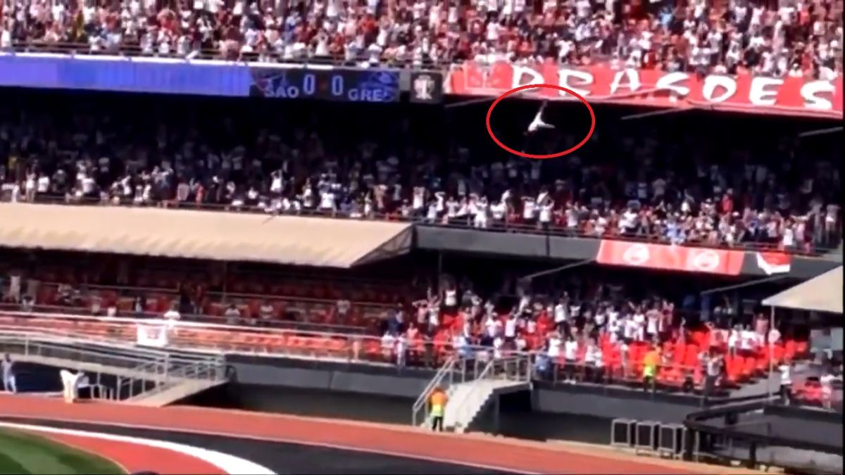 ▲通常在看球賽的時候，若賽程進行到最精彩之處，球迷情緒必定會嗨到最高點，甚至會在看台上站起身加油，不過站立時一定要小心，以免從看台上摔落。（圖／翻攝自影片）