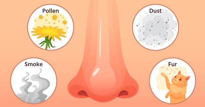 鼻過敏與鼻竇炎如何分辨？看鼻涕顏色秒懂

