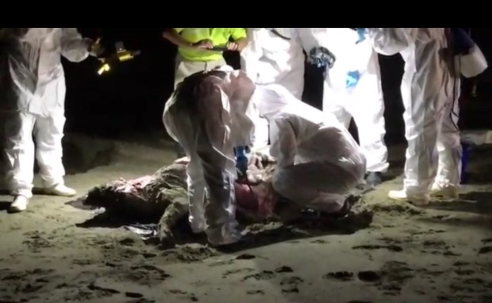 ▲防疫人員進行採樣。（圖／記者陳聖璋翻攝）