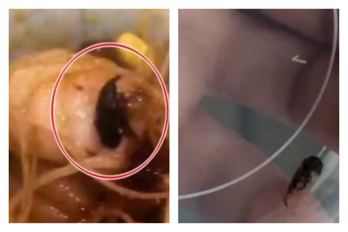 ▲男子在火鍋內吃到蒼蠅，向老闆告知卻引發糾紛。（合成圖／翻攝自看看新聞）