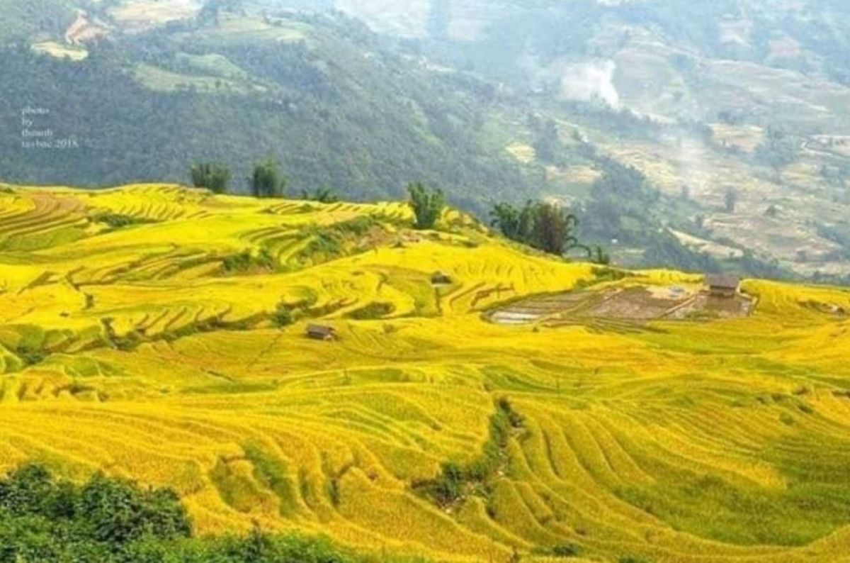 越南背包自由行－資訊雷達站提供