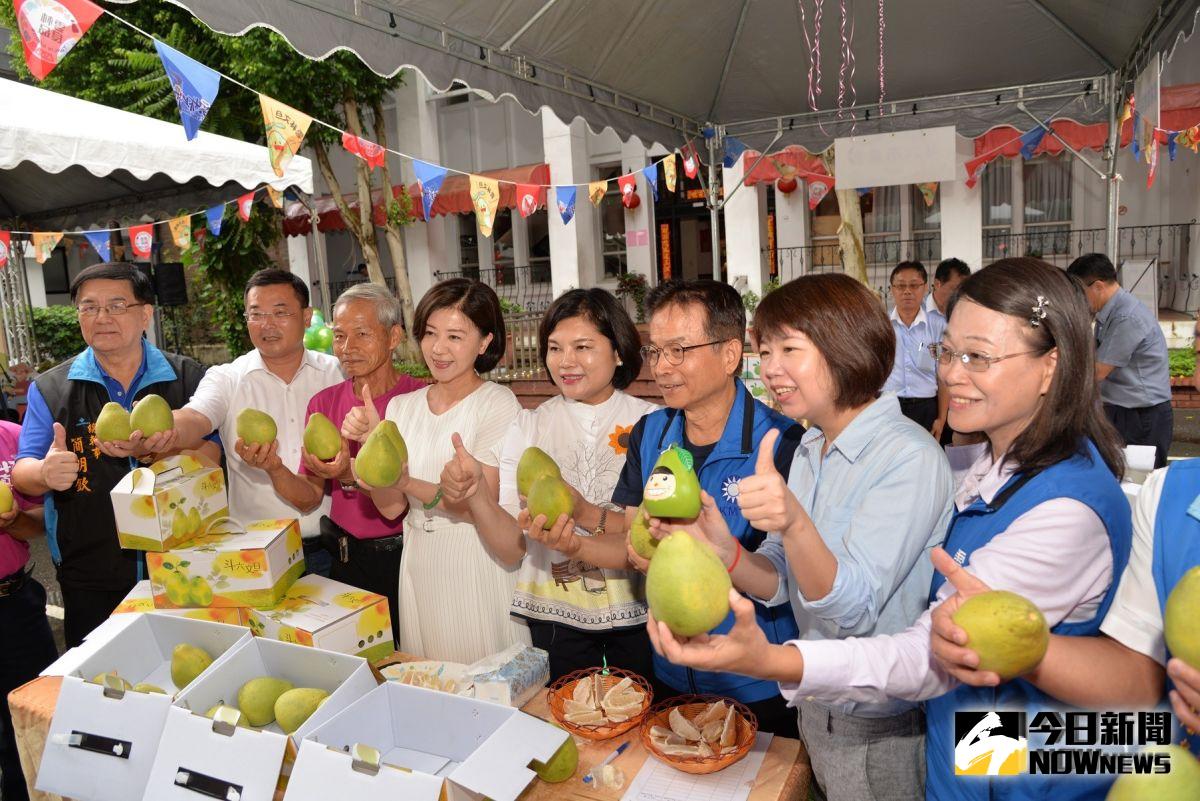 ▲張縣長首站來到立法院推廣雲林優質文旦柚。（圖／雲林縣政府提供）